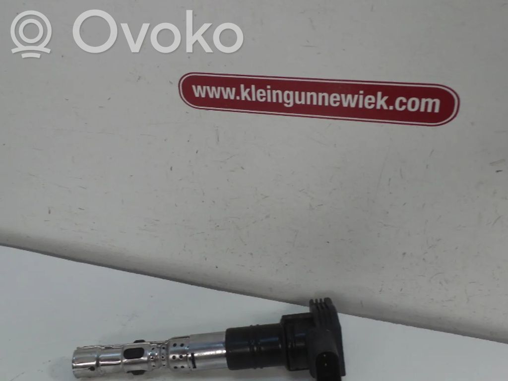 Volkswagen Phaeton High voltage ignition coil 