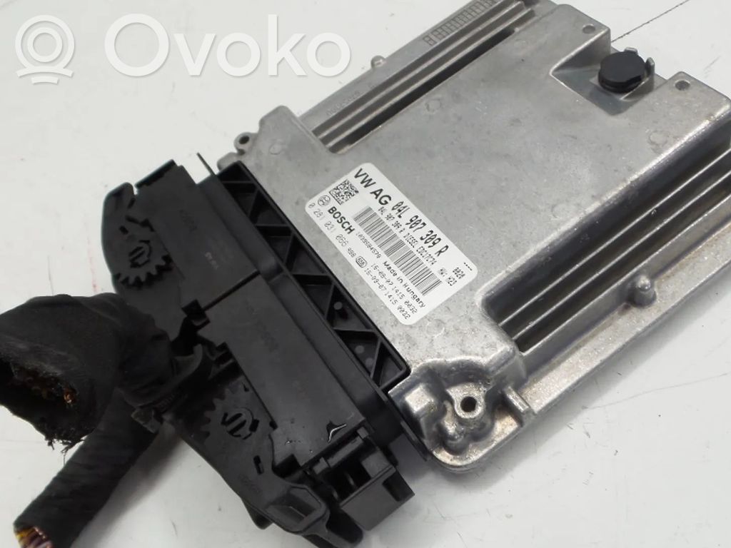 Engine control unit/module   04L907309R,0281031066,CRL,CRLB,CRLBCRL