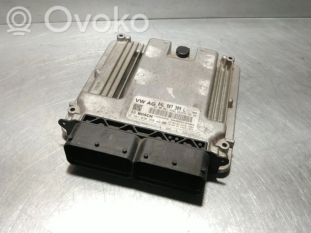 Engine control unit/module   04L907309L,0281030258,04L906026T,DEU,DEUA,DEUADEU