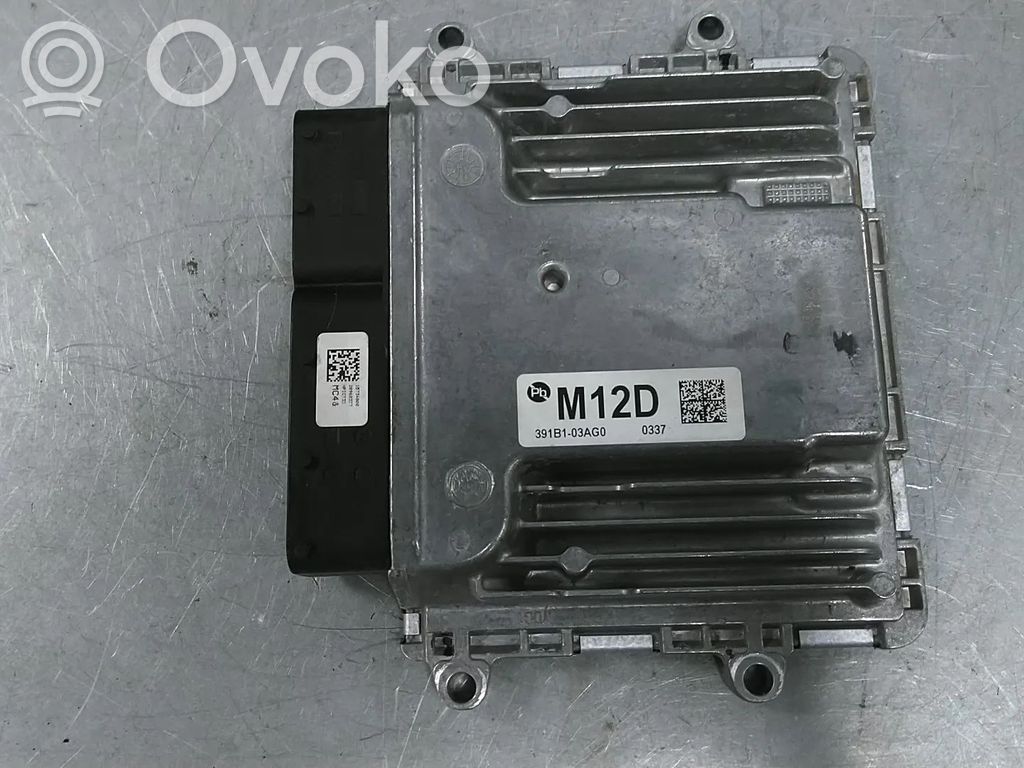 Engine control unit/module   391B103AG0,G4LE