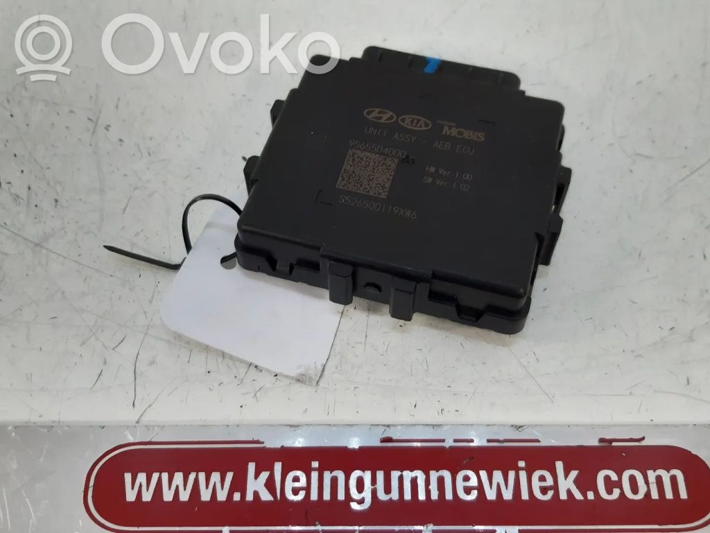 Autres unités de commande / modules   95655D4000,D4FD
