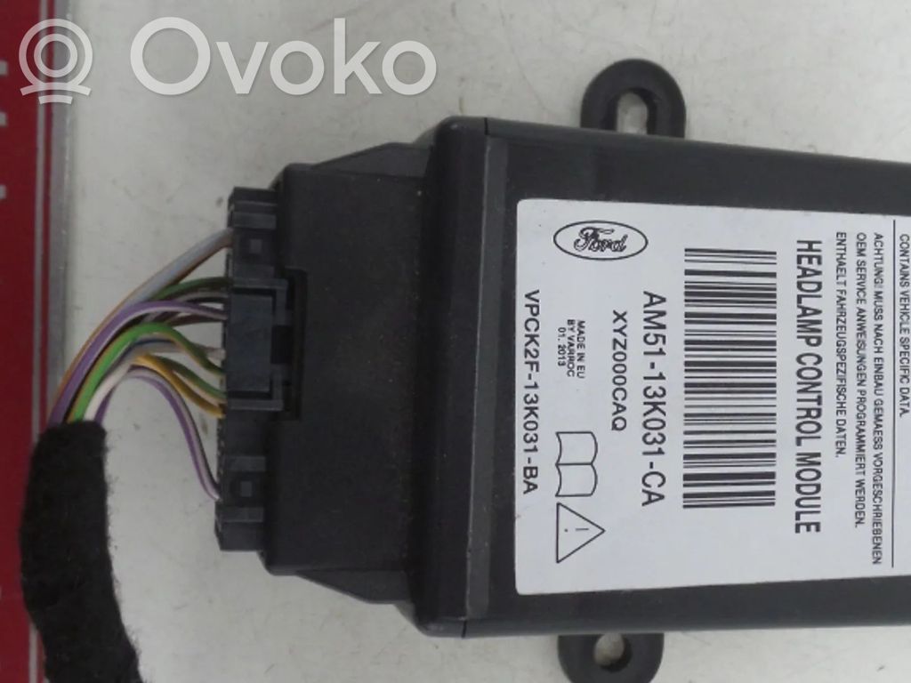 Light module LCM   AM5113K031CA