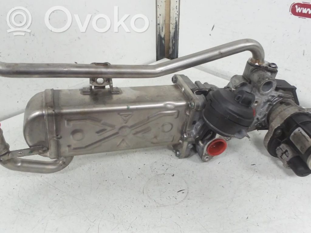 Volkswagen Polo V 6R Zawór EGR 