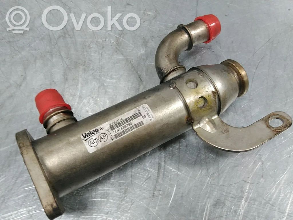 Ford Focus EGR valve cooler 