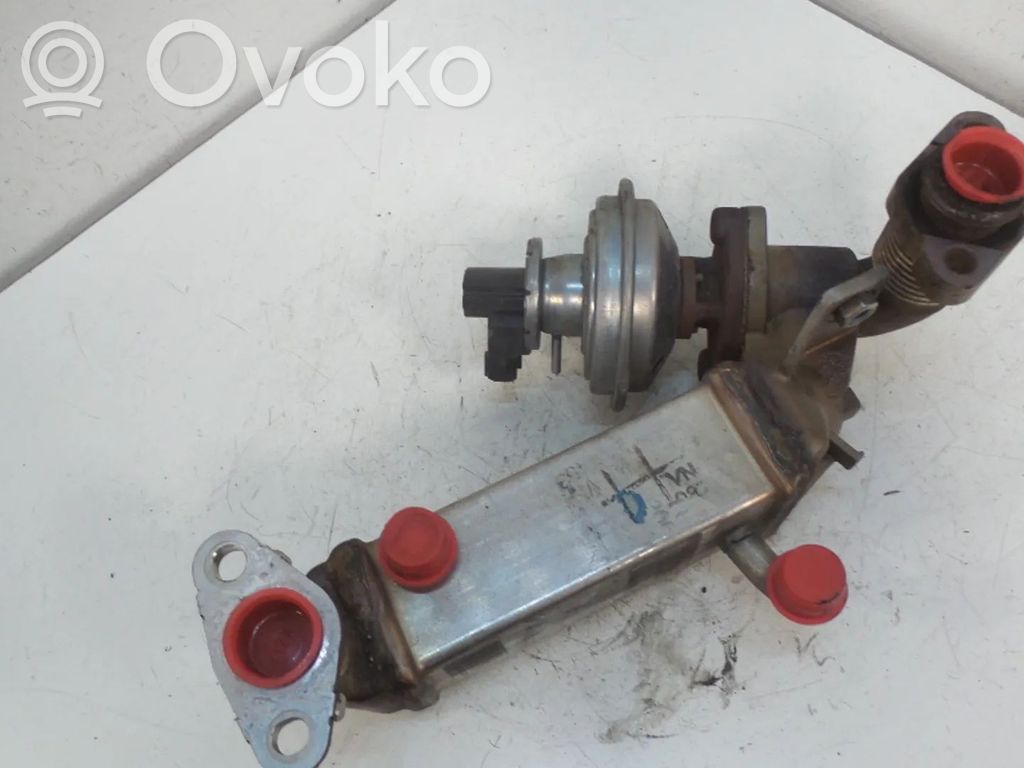 EGR aušintuvas   7805189,7801942