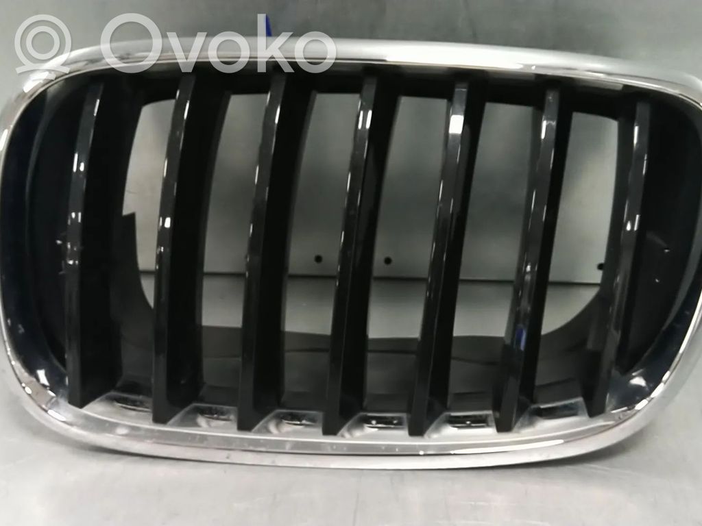 BMW X5 E70 Front bumper upper radiator grill 
