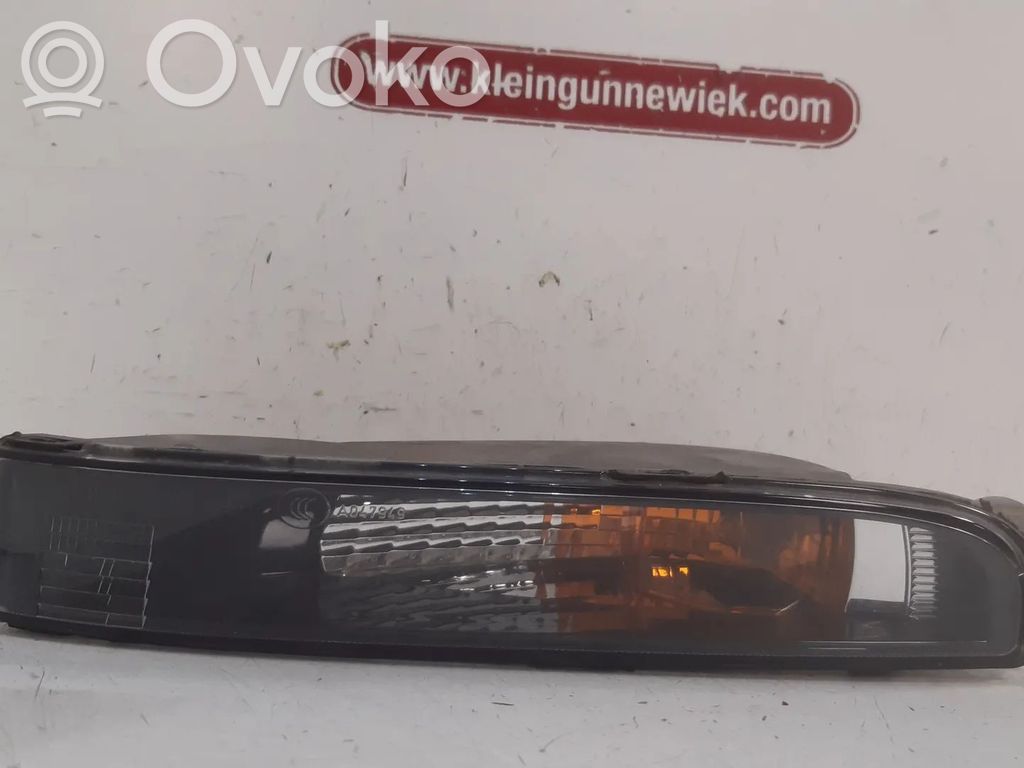 Volkswagen Beetle A5 Front indicator light 