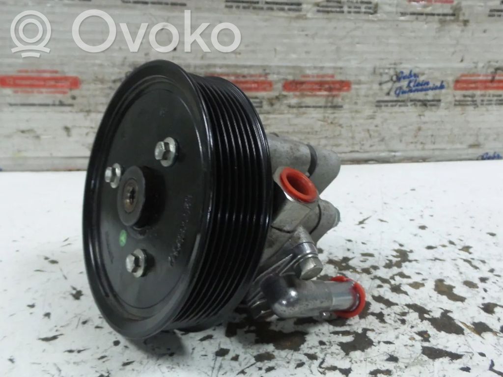 Ohjaustehostimen pumppu   491109718R