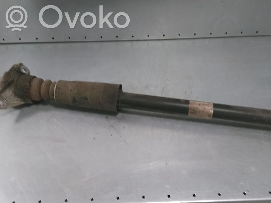 Audi A6 S6 C8 4K Rear shock absorber/damper 