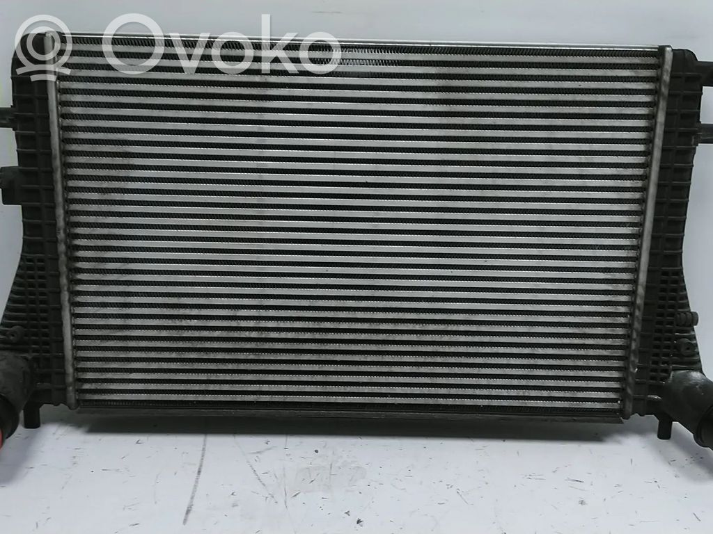 Volkswagen PASSAT B7 Interkūlerio radiatorius 