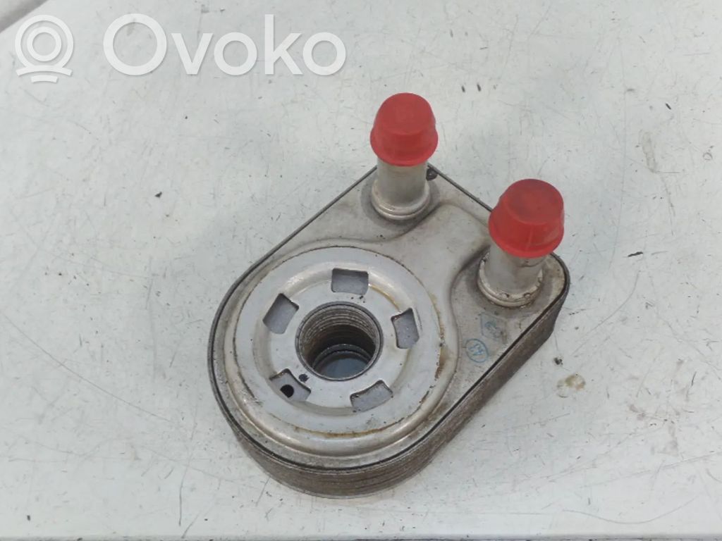 Ford Ecosport Engine oil radiator 