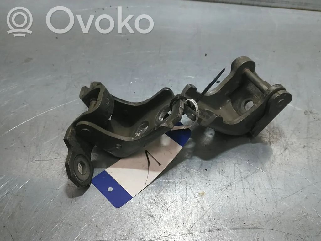 Renault Megane III Set balamale ușă față 
