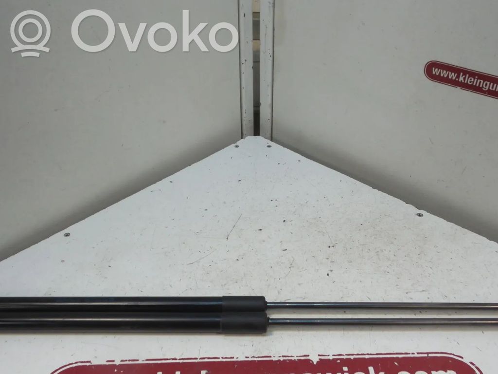 Ford Focus Tailgate/trunk strut/damper 
