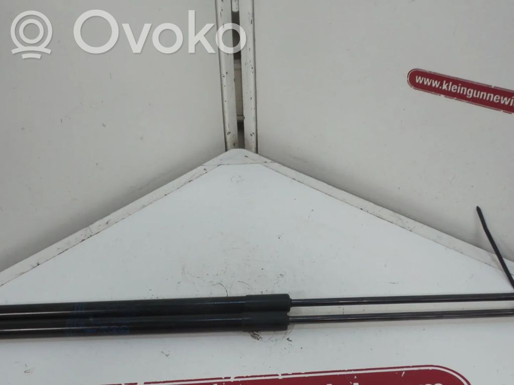 Tailgate/trunk strut/damper   13428064