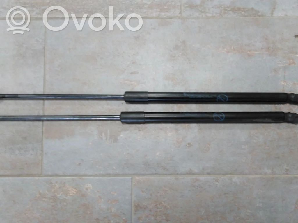 Ford Fiesta Tailgate/trunk strut/damper 