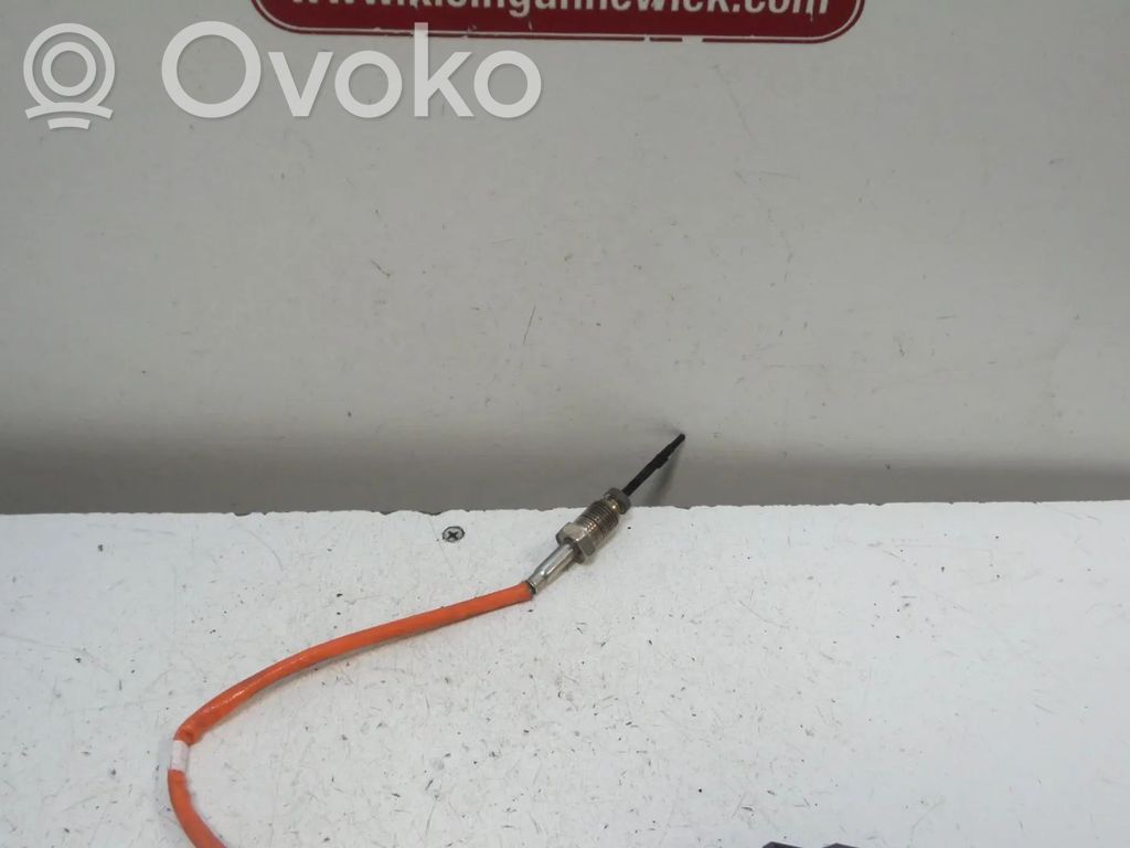 Ford Fiesta Cita veida sensors 