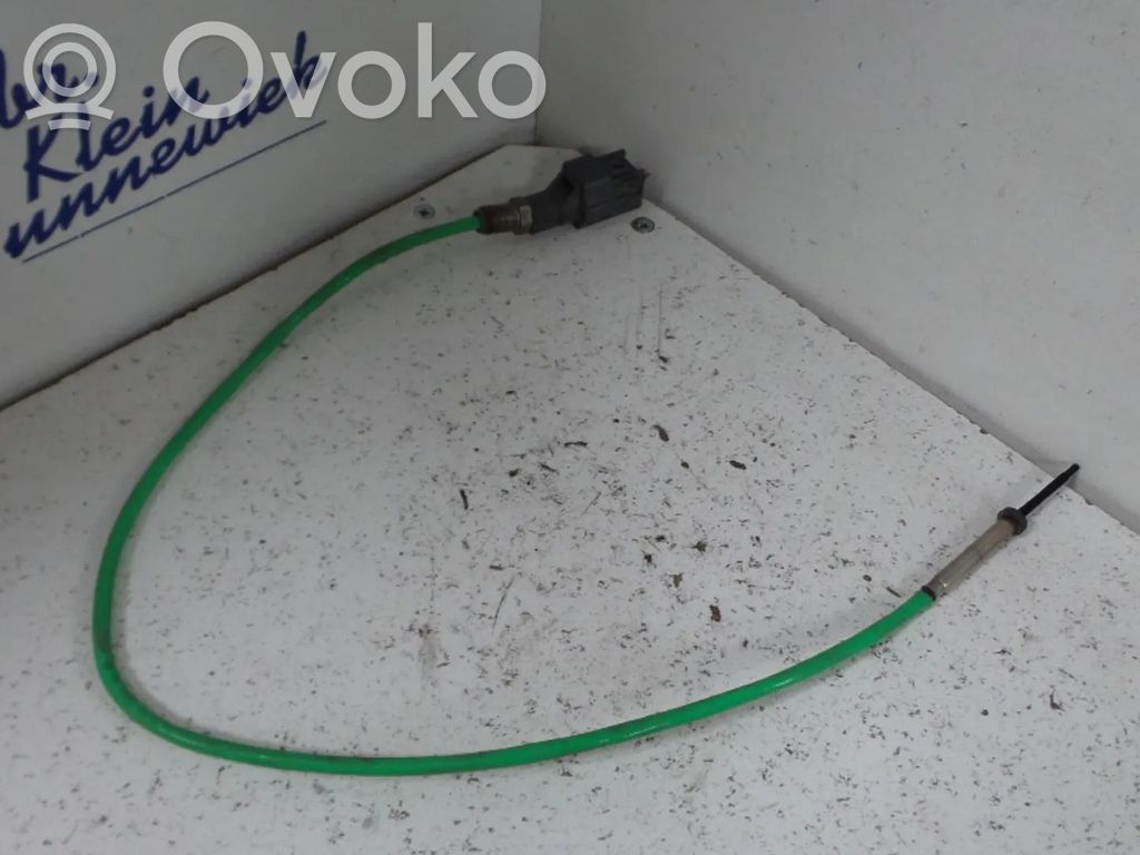 Ford S-MAX Sensor 