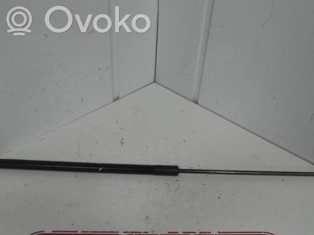 Volkswagen Touareg II Ammortizzatore portellone anteriore/cofano 