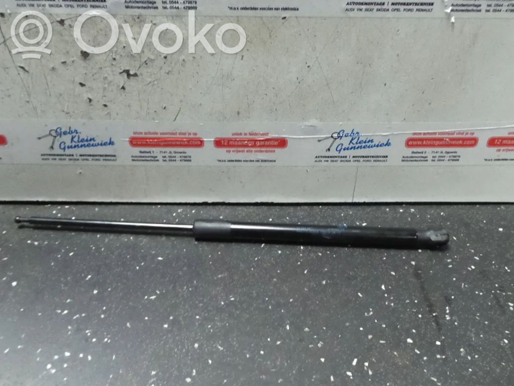 Opel Zafira C Ammortizzatore portellone anteriore/cofano 