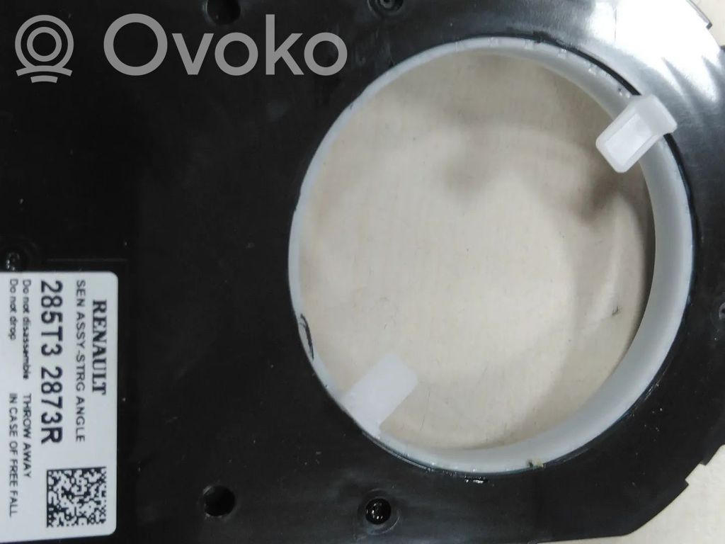 Renault Zoe Kita salono detalė 