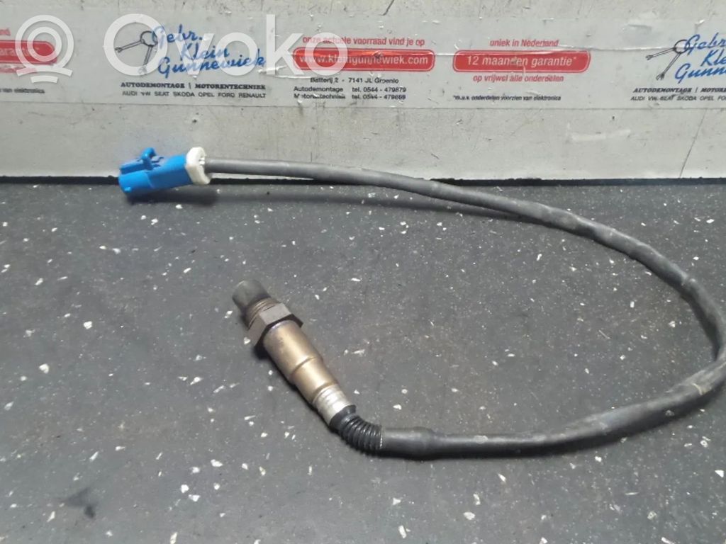 Sonde lambda   QQDB