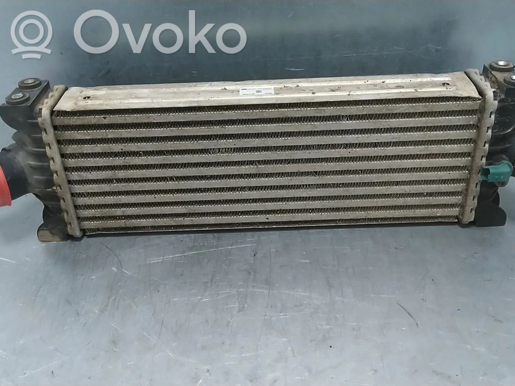 Interkūlerio radiatorius   CC119L440AF,1748579,1748585,1771034,1771038,1823031,1881207,1881209,CC119L440AC,CC119L440AD,CC119L440AE,CC119L440BC,CC119L440BD,CC119L440BE,CC119L440BF