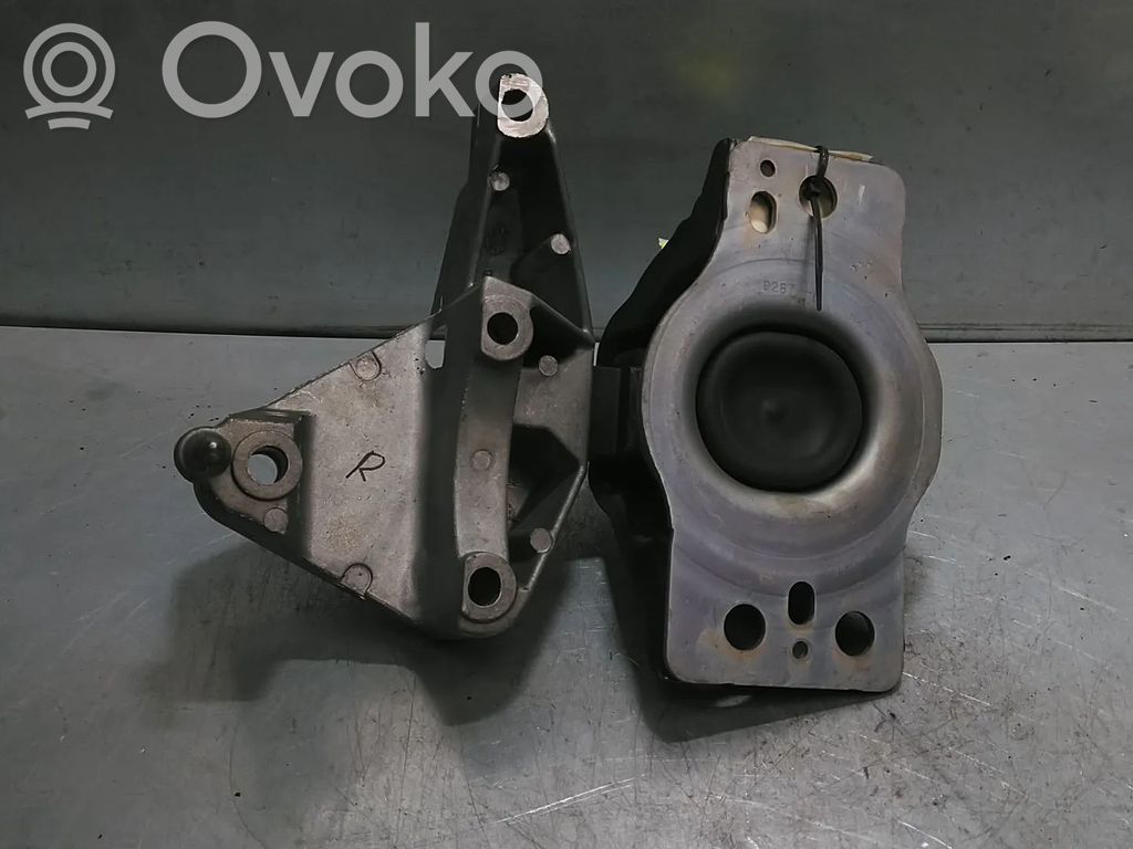 Renault Kangoo II Variklio pagalvė 