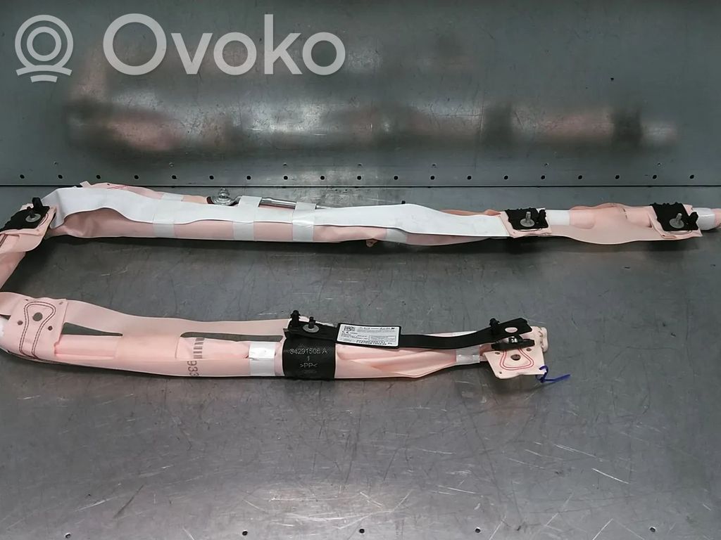 Ford Focus Roof airbag 