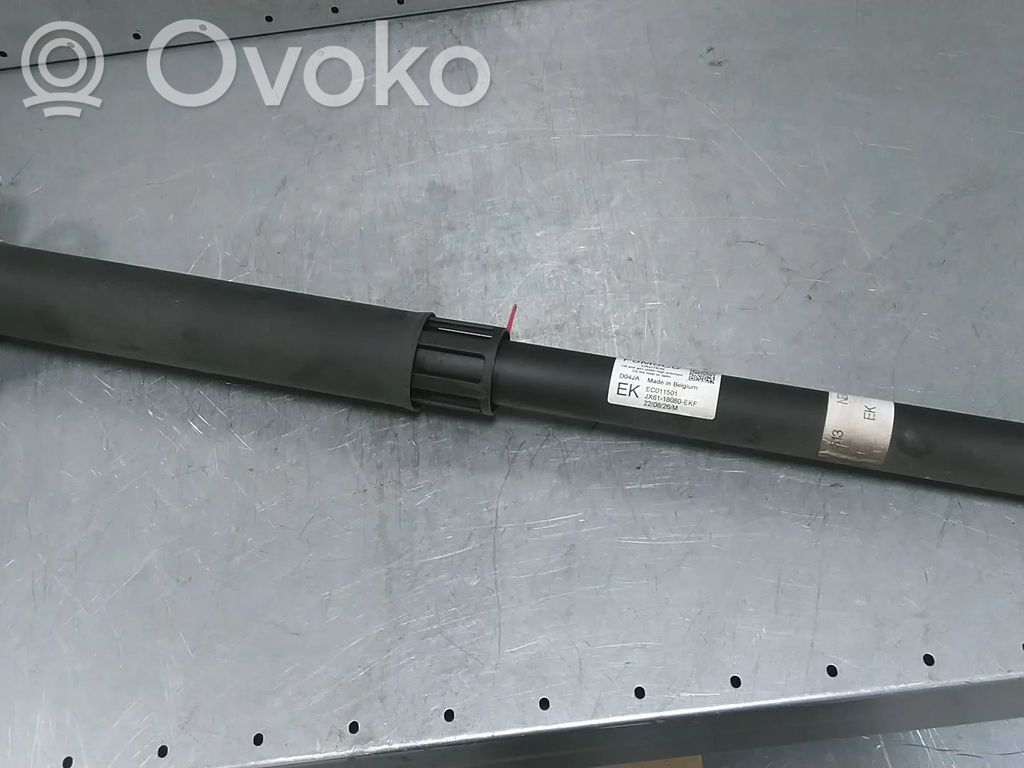 Ford Focus Aizmugurē amortizators 