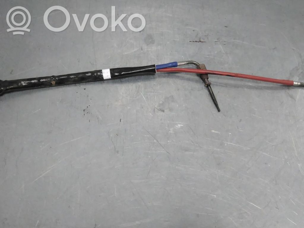 Renault Arkana Sensor 