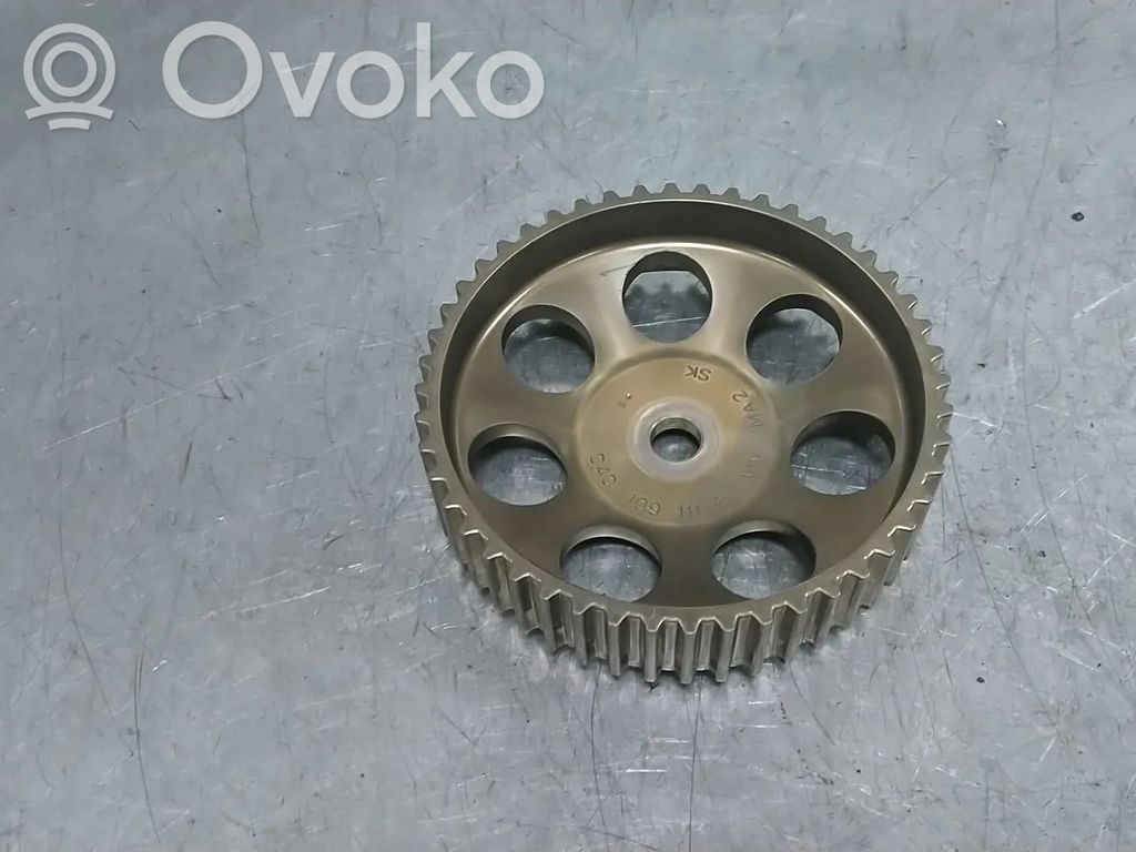 Volkswagen Golf VII Sadales vārpstas skriemelis / "Vanos" 