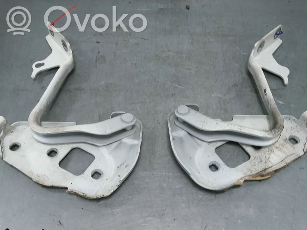 Ford Ka Dzinēja pārsega eņģe (-es) 