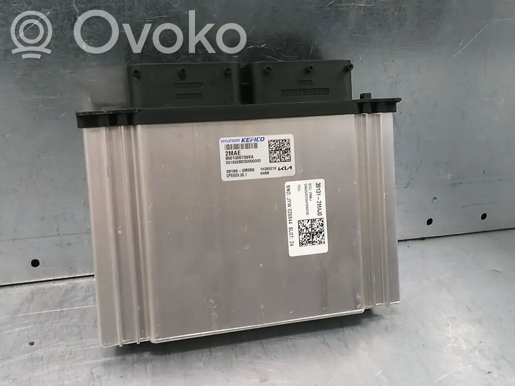 KIA Sportage Unitate/modul de control motor 