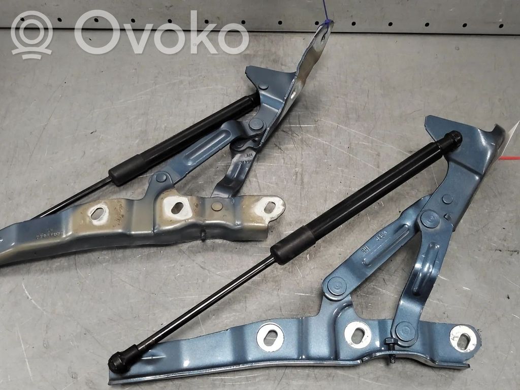 Tailgate/trunk/boot hinge   1765450,13437375,13437376,13453266,13453267,1765470