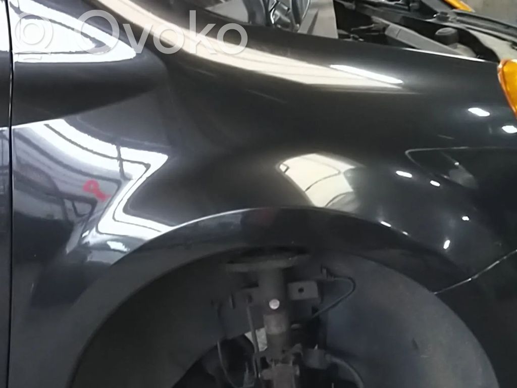 Renault Modus Sparnas 