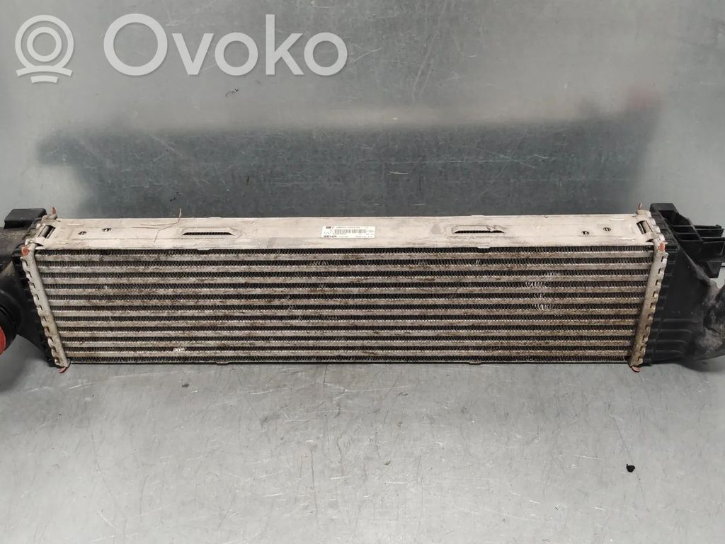 Renault Trafic III (X82) Radiator intercooler 