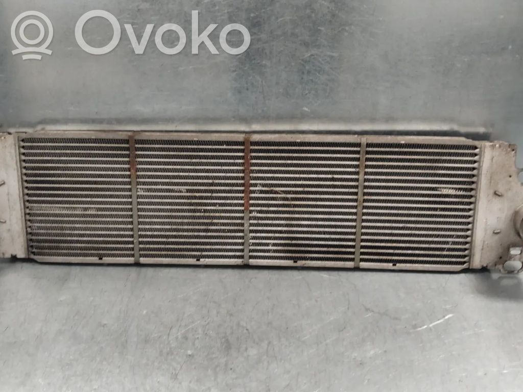 Volkswagen Transporter - Caravelle T5 Radiator intercooler 