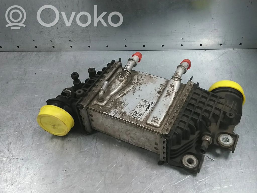 Volkswagen Crafter Radiatore intercooler