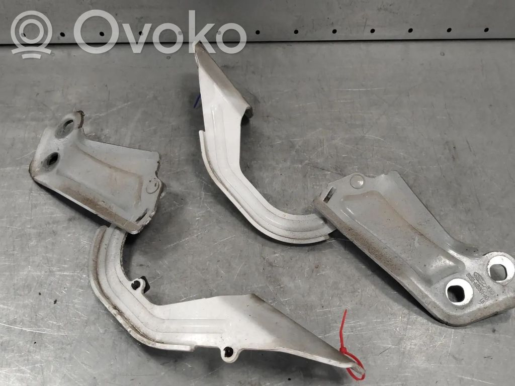 Ford Focus Cerniere del vano motore/cofano