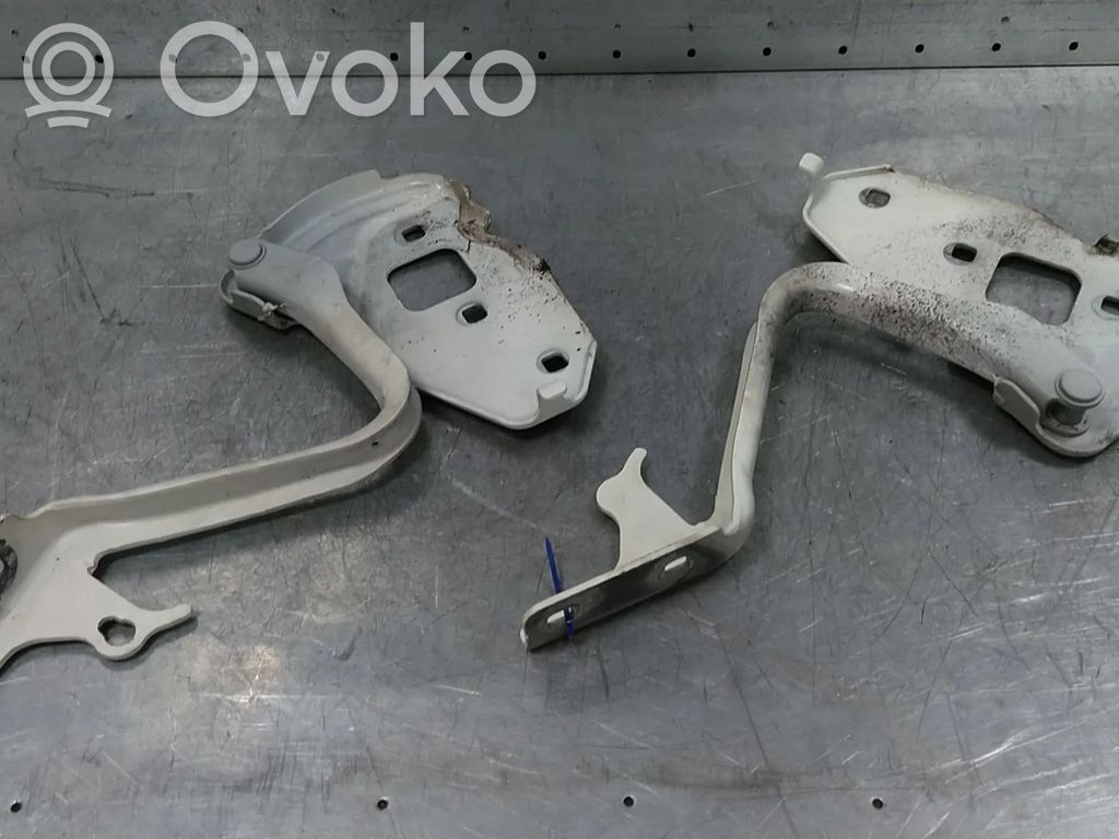 Ford Ka Dzinēja pārsega eņģe (-es) 
