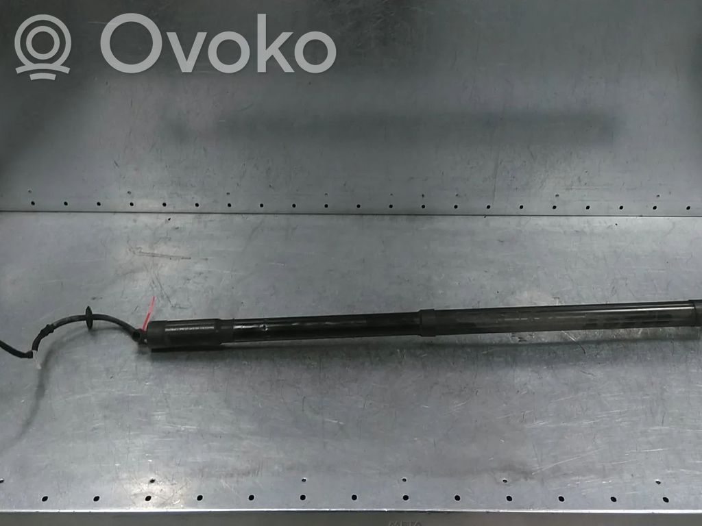 Ford C-MAX II Tailgate/trunk strut/damper 