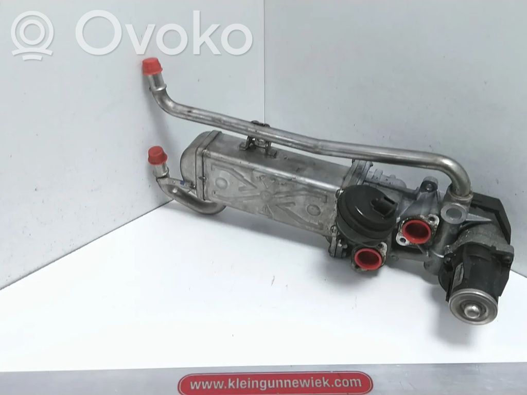 Volkswagen Polo V 6R Válvula EGR 