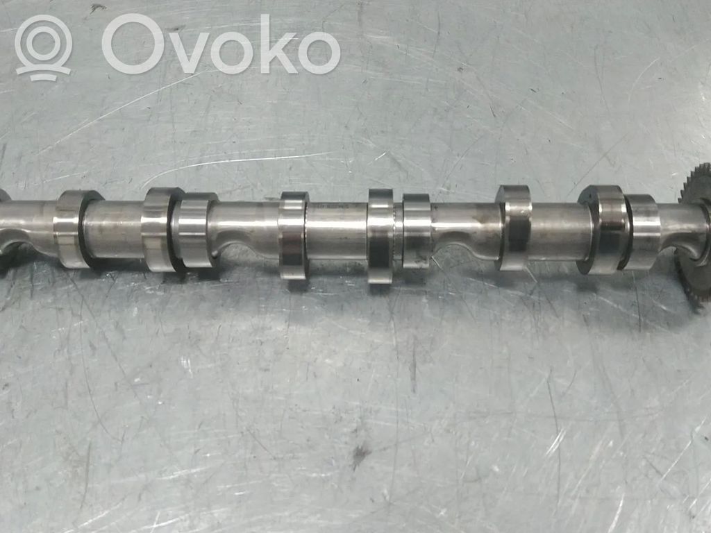 Sadales vārpsta   059102CB,059109009AJ,059109009BL,ASB,BKN,BKS,BMK,BNG,BPP,BSG,BUG,BUN,CAMA,CAMB,CAN,CANA,CANB,CANC,CAND,CAPA,CARA,CASB,CASC,CASD,CATA,CCL,CCLA,CCM,CCMA,CCW,CCWA,CCWB,CDY,CDYA,CDYB,CDYC,CEX,CEXA,CEXB,CGK,CGKA,CGKB