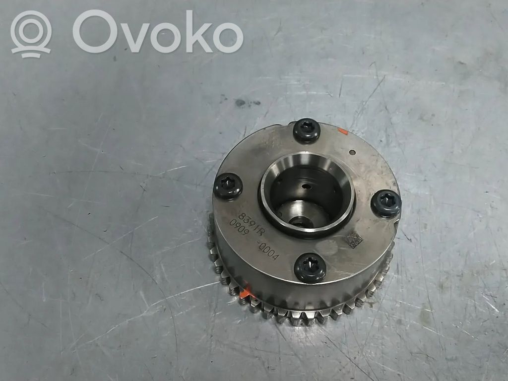 Renault Clio V Puleggia dell’albero a camme/VANOS 