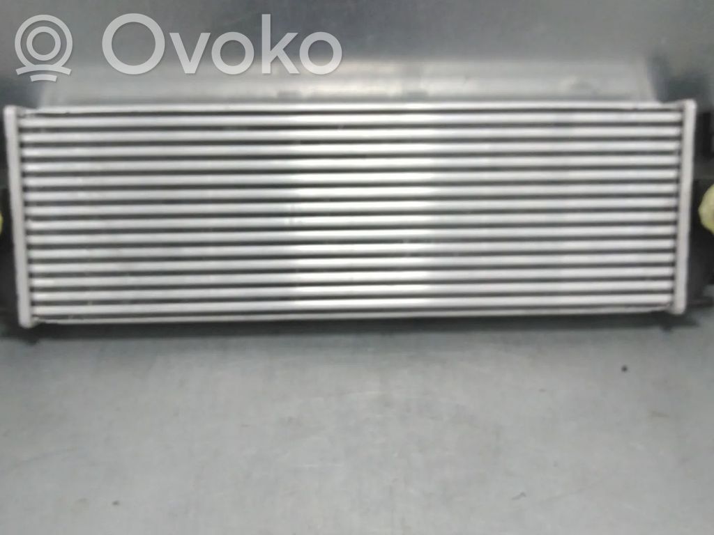 Interkūlerio radiatorius   2E0145804,A9065010101,HVW9065000000