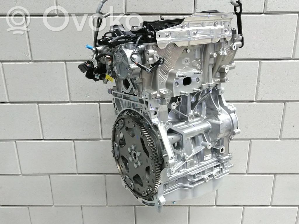 Motor   25204774,000257519,1684189780,25203657,25204253,55512158,F12SHL,F12SHR,F12SHT,LIH