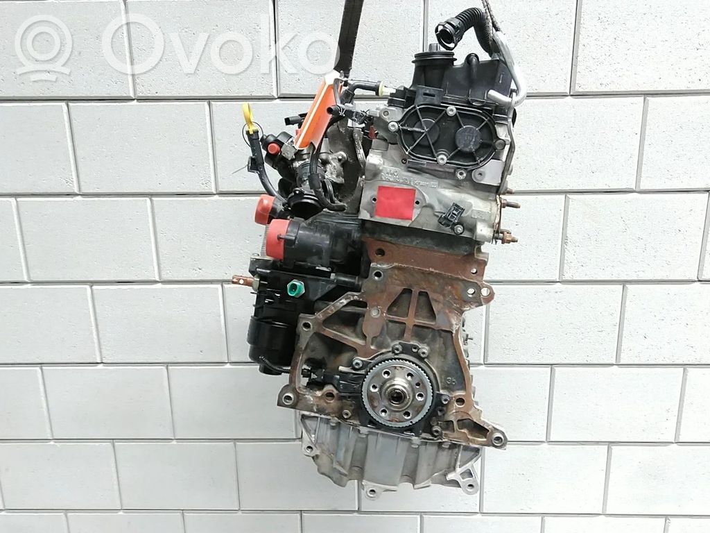 Engine   0445010538,04L100037L,04L100090F,04L100090FX,DFS,DFSA,DFSB,DFSC,DFSD,DFSE,DFSF