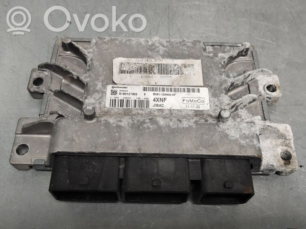 Ford Focus Engine control unit/module 