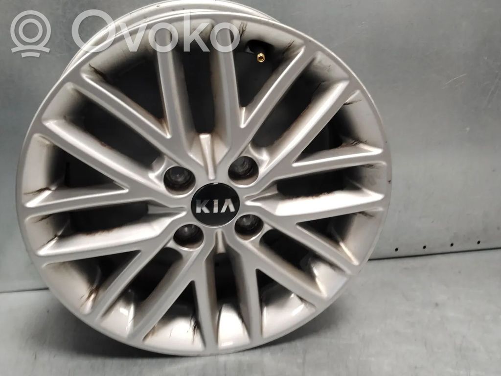 KIA Rio Jante forgée R15 