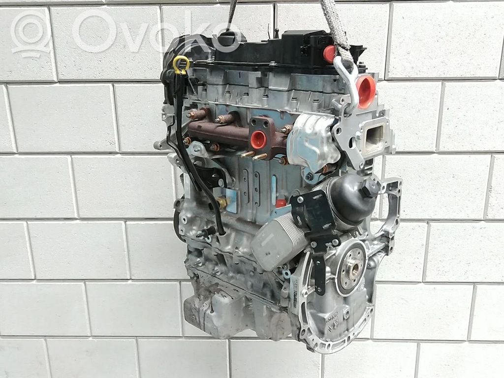 Engine   GM5Q6006DA,0445010592,2433073,2497852,RMGM5Q6006DA,XUCF,XUJN